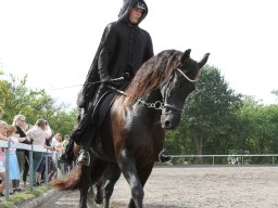 IMG_1228_web